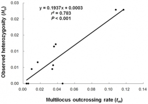 pearson correlation