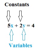 types of variables