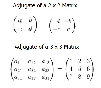 What is the adjoint of a matrix?