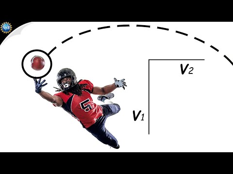 Projectile Motion &amp; Parabolas [Science of NFL Football]