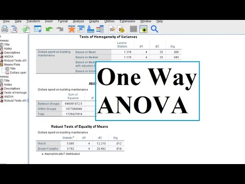 How to Run a One Way ANOVA in SPSS