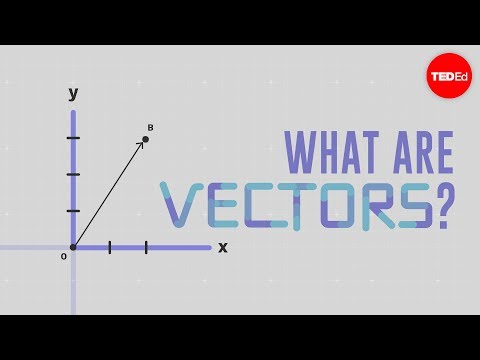 What is a vector? - David Huynh