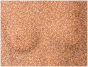 Chris Grayson's artwork depicting the staggering figure of 32,000 breast augmentations per month in the United States.