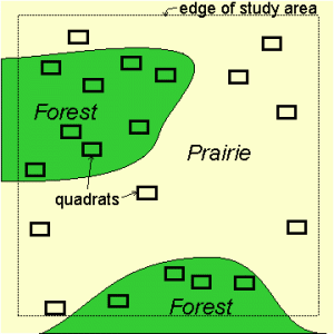 Stratified random sampling is useful when you can subdivide areas. Image: Oregon State