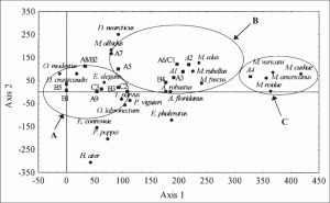 correspondence analysis plot