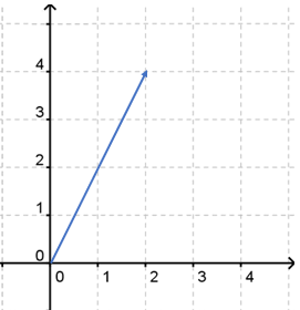 vector graph