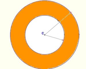 center of mass annulus