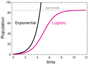 Logistic Growth Formula