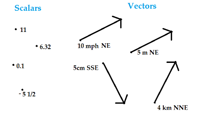 scalar vector