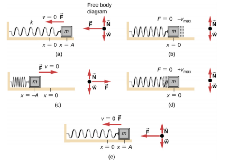 simple harmonic motion