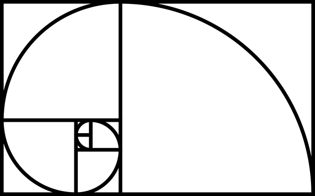 examples of Fibonacci sequence in spiral