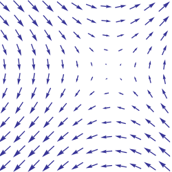 vector field 