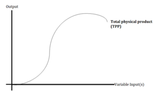 production function