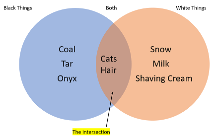 draw a venn diagram for intersection of two sets