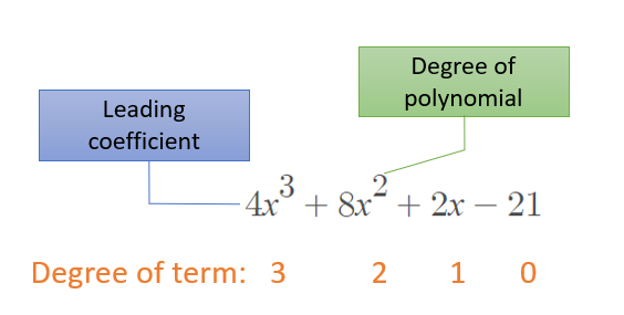 polynomial in standard form